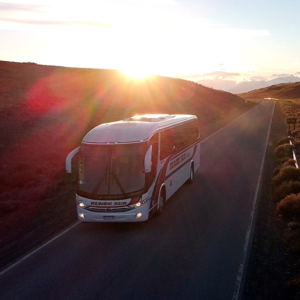 Transfer in and out - El Calafate Airport