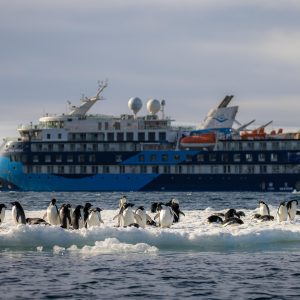 Quest for the Antarctic Circle 5DEC25