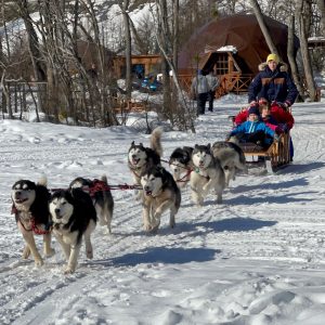 Full Day Nieve