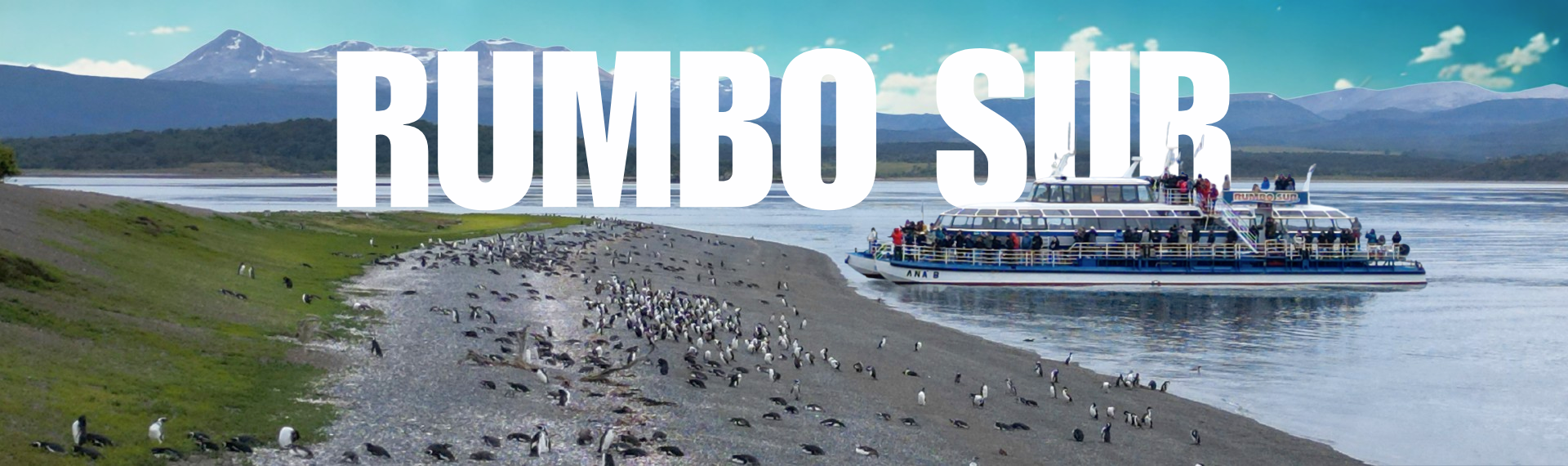 RUMBO SUR Banner Home