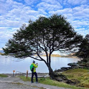 Parque Nacional Tierra del Fuego (Travel Sale)