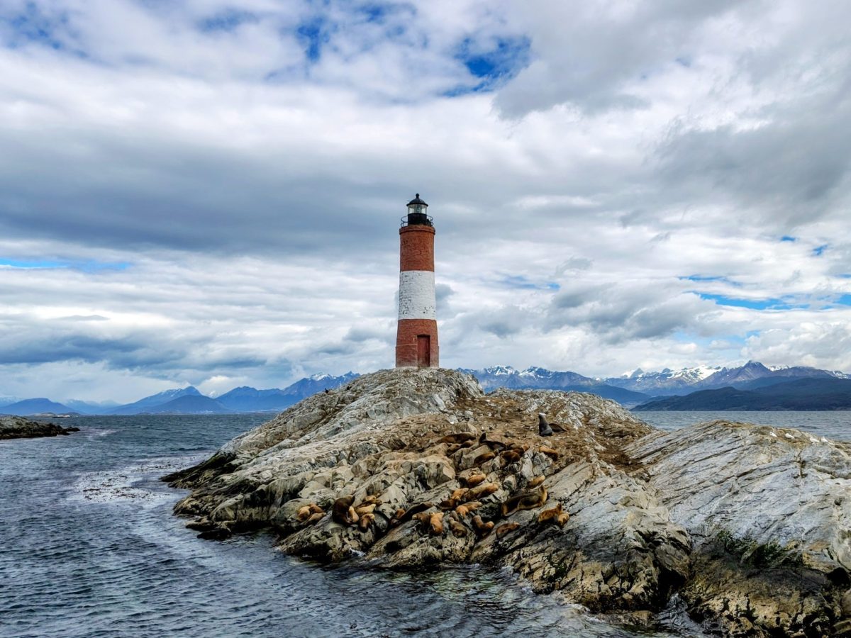 IMG_20260115_111017606_HDR~2 IMG_20260115_111017606_HDR~2