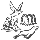 Fauna marina