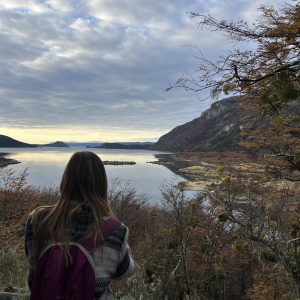 Combo Parque Nacional y Navegación Isla de Lobos - Ushuaia (Travel Sale)