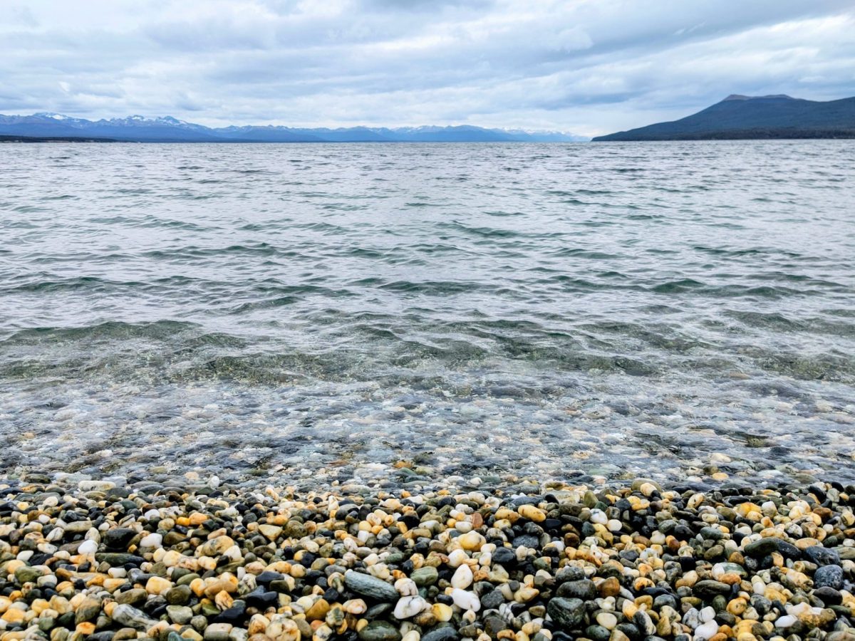 IMG_20251223_114948140_HDR~2